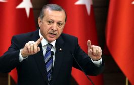 الرئاسة التركية تتهم المانيا من جديد