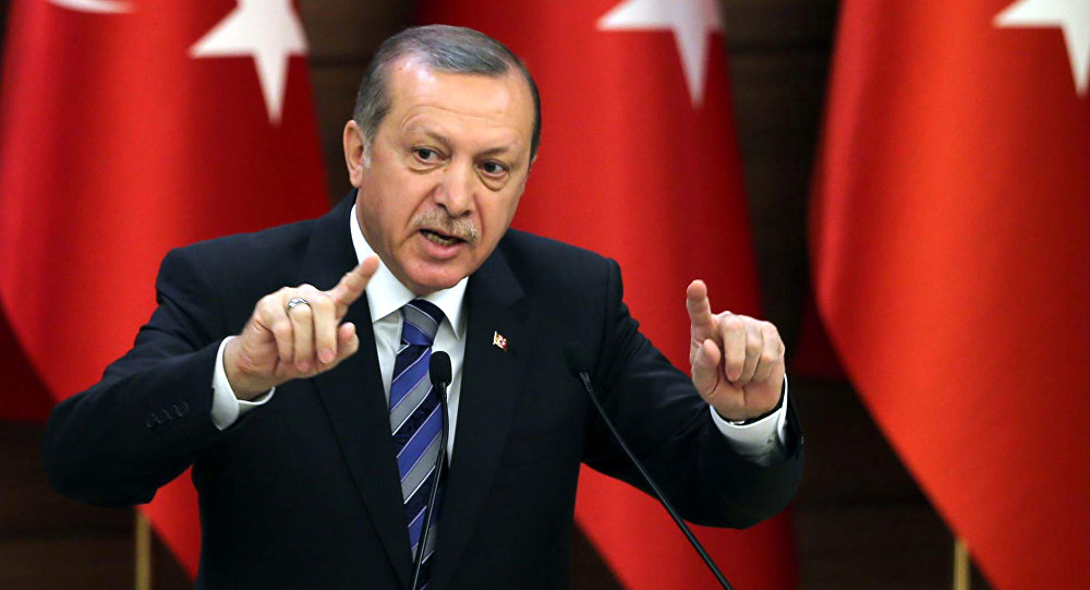 الرئاسة التركية تتهم المانيا من جديد