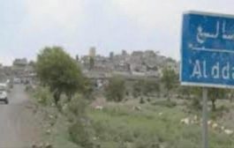 مصرع 7 من مسلحي الحوثي في مواجهات مع القوات المشتركة بالضالع