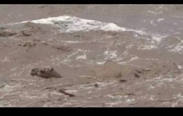 وفاة امرأة وطفلها غرقاً بسيول الأمطار الغزيرة في لحج