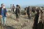 مليشيات الحوثي تستهدف مواقع القوات المشتركة جنوب الحديدة