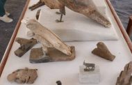 الكشف عن “متحف كامل” يضم مومياوات أسود وتماسيح وطيور