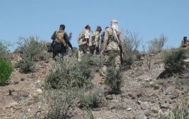 القوات الحكومية تحبط عملية تسلل لمليشيا الحوثي غرب الضالع