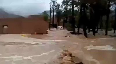 الامطار تتسبب بوفاة  9 مواطنين  بحضرموت ” فيديو”