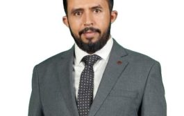 جبل من كرتون