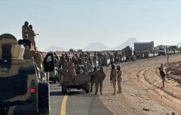 تعزيزات عسكرية جديدة تصل إلى العاصمة المؤقتة عدن