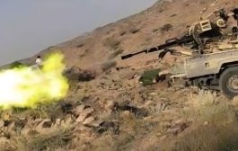 القوات الحكومية تحبط هجمات للحوثيين في تعز