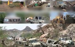 القوات المسلحة تستأنف عملياتها في باب المندب وتستعيد جزيرة ميون وتتوغل نحو ذوباب