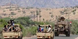الجيش والمقاومة  اليمنية يسيطران على أحياء المخا الشرقية