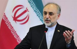 إيران تعلن استعدادها للحوار مع السعودية بخصوص الازمه اليمنيه