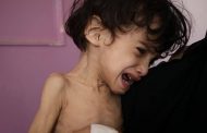 تقرير الأمم المتحدةعن ثلث محافظات اليمن على شفير المجاعة