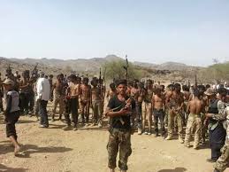 الضالع إستشهاد قائد كتيبة في اللواء ٣٣ مدرع ومقتل عدد من المتمردين الحوثيين