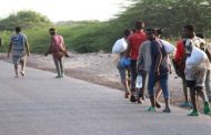 تقرير يكشف الإعداد المأهولة لتدفق الأفارقة الى اليمن