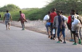الأمم المتحدة: إجلاء 114 لاجئاً صومالياً من اليمن