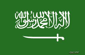 السعودية تقر تعرض معمل للغاز الطبيعي لهجوم بطائرات  مسيرة ملغومة