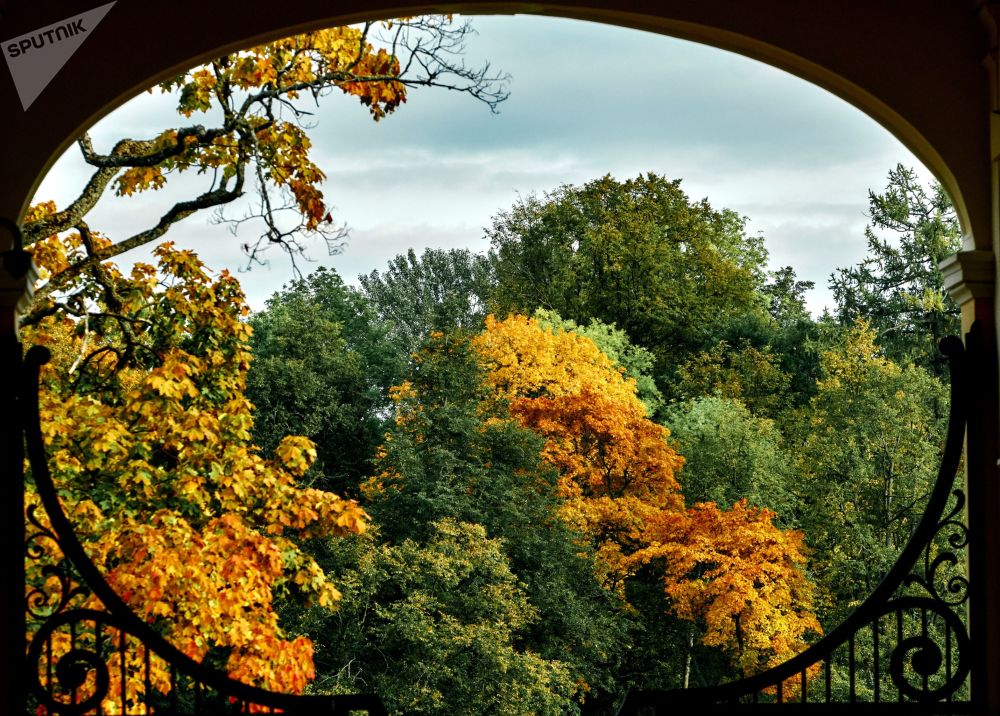 جمال الخريف في المنتزه الملكي أورانينباوم الروسي