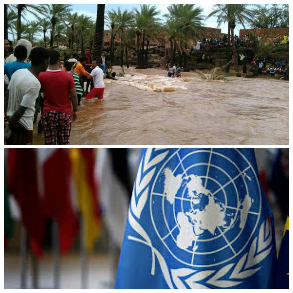 الأمم المتحدة: ضرر السيول أصاب الأحياء السكنية والمواقع المخصصة للنازحين
