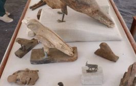 الكشف عن “متحف كامل” يضم مومياوات أسود وتماسيح وطيور