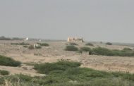 مليشيات الحوثي تستهدف منازل المواطنين جنوبي الحديدة