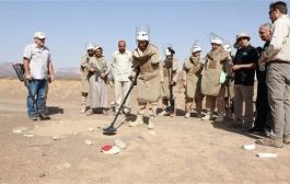 انتزاع 8318 لغماً زرعها الحوثيون في اليمن
