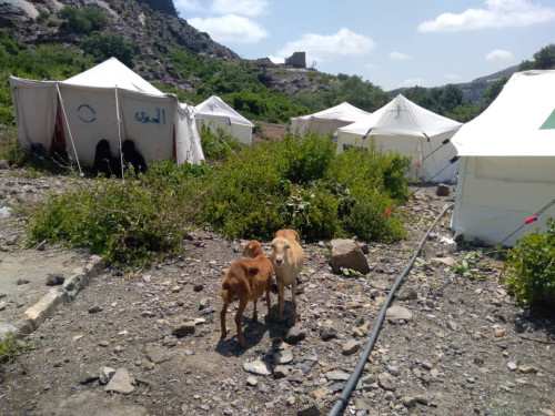 مليشيا الحوثي تقصف الأعيان المدنية شمال غرب المسيمير