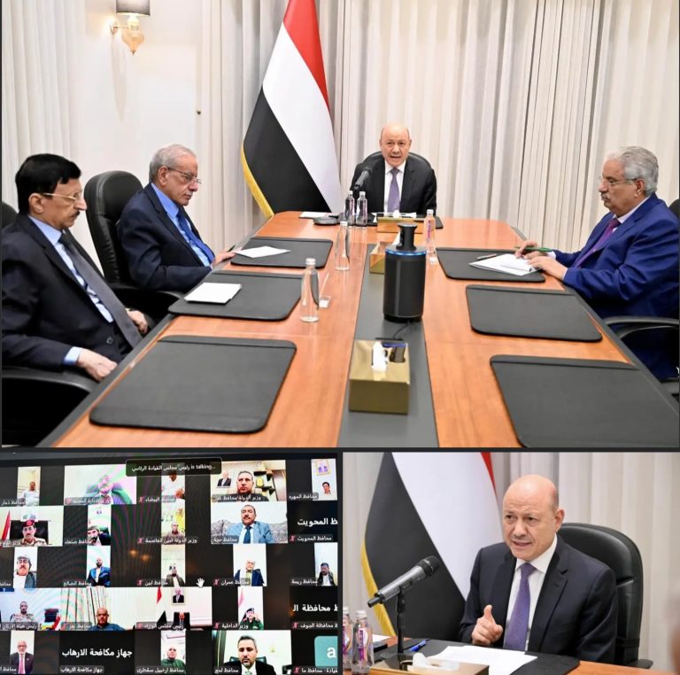 العليمي: الدولة ماضية في حماية السيادة وإنهاء الانقلاب