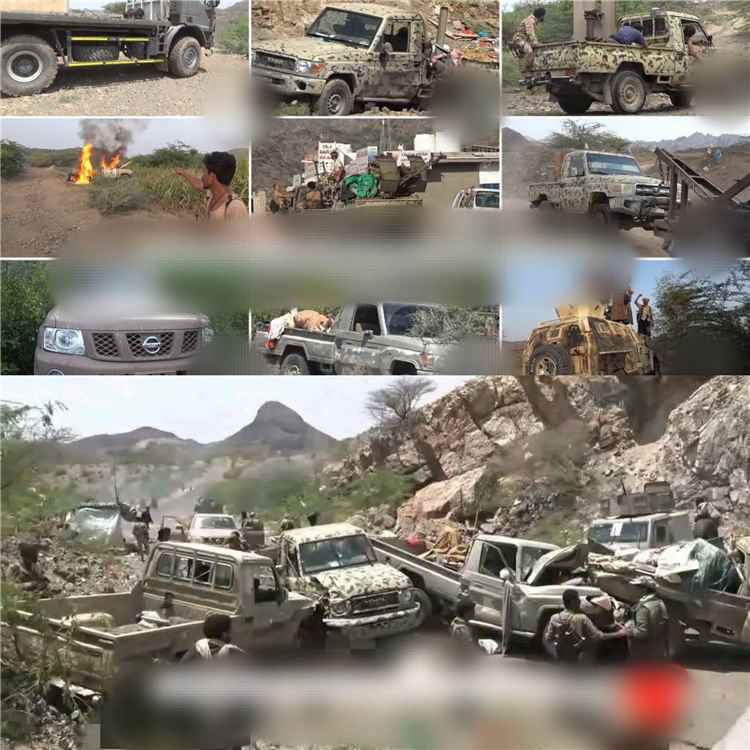 القوات المسلحة تستأنف عملياتها في باب المندب وتستعيد جزيرة ميون وتتوغل نحو ذوباب